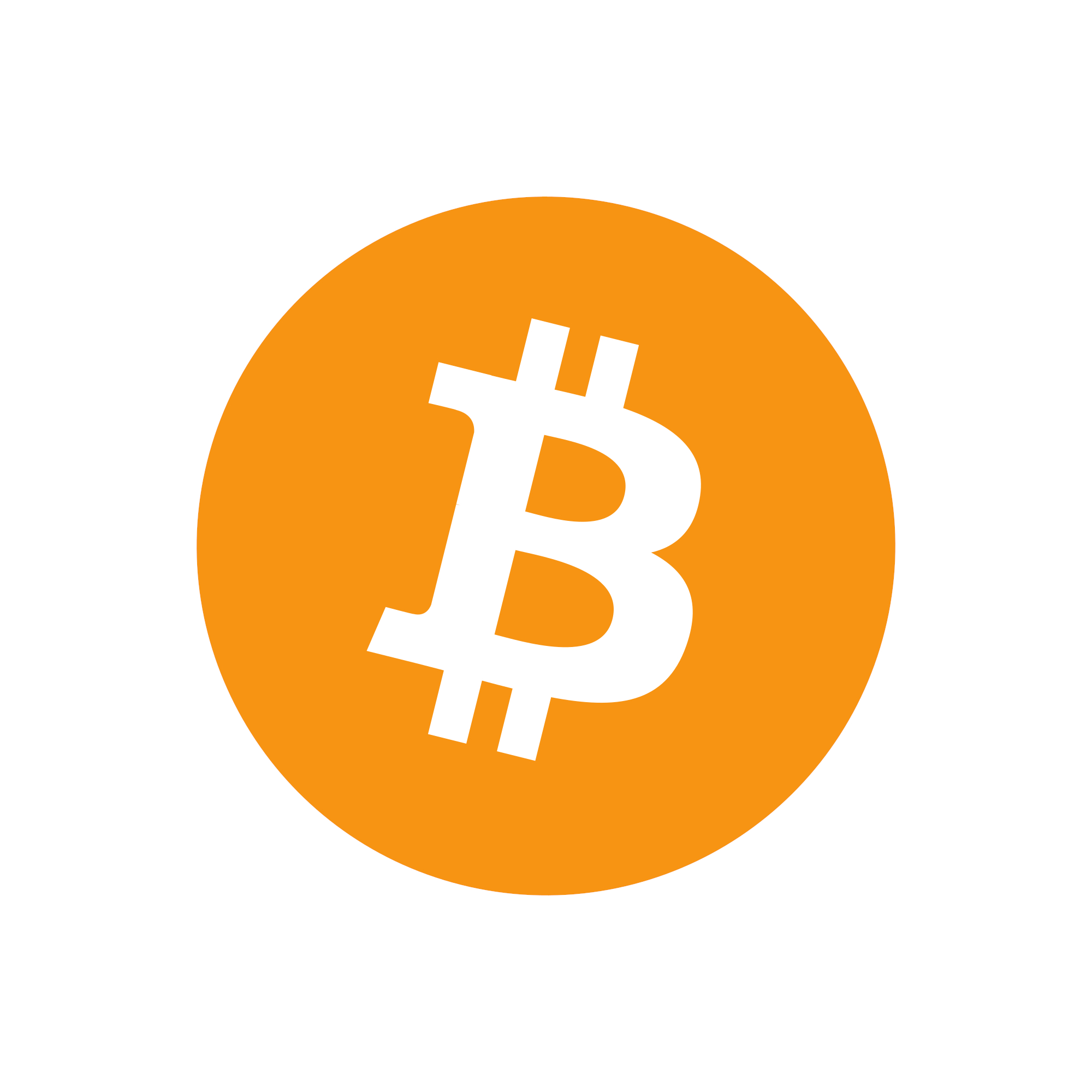 Bitcoin Symbol